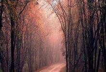 欧博abg官网：足球——世预赛：巴西胜哥伦比亚.