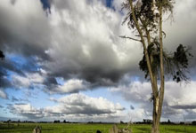 欧博abg官网：面对佩顿砍40分，科比为他打替补，被称为范疯子的他，后来去了哪里？.