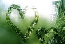 欧博abg官网：[NBA]多主力缺阵 湖人惜败网队.