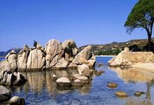 萨巴伦卡2-0横扫保利尼，首进迈阿密决赛.